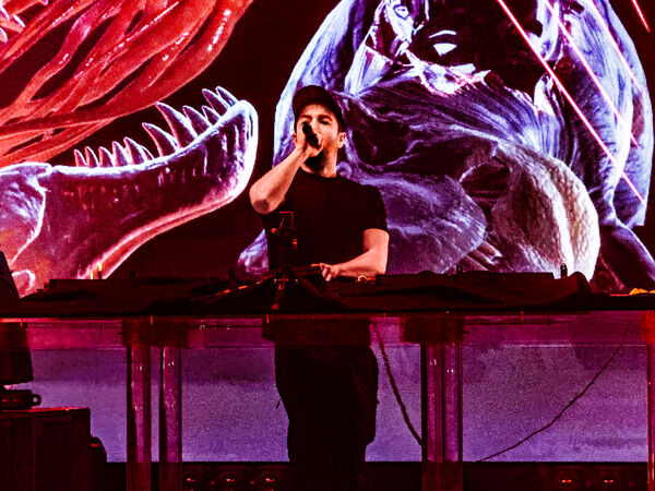 Less Talk, More Dinosaurs